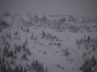 Program Avalanche Observations # 357