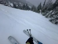 Program Avalanche Observations # 359
