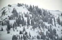 Program Avalanche Observations # 360