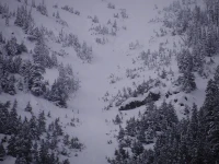 Program Avalanche Observations # 361