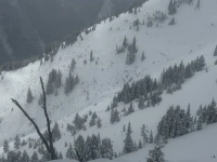 Program Avalanche Observations # 362