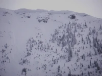 Program Avalanche Observations # 363