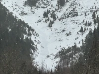 Program Avalanche Observations # 365