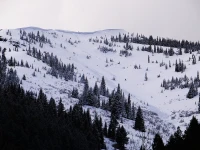Program Avalanche Observations # 368