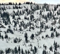 Program Avalanche Observations # 369